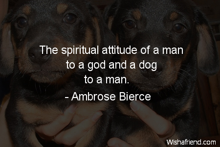 dog-The spiritual attitude of a