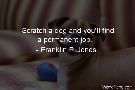 dog-Scratch a dog and you'll