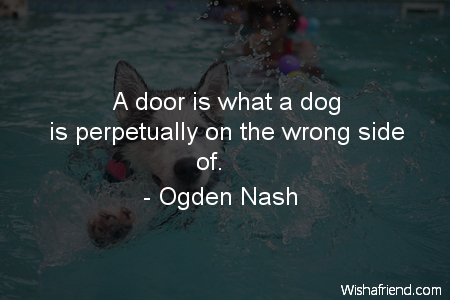 dog-A door is what a