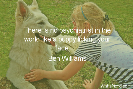 dog-There is no psychiatrist in