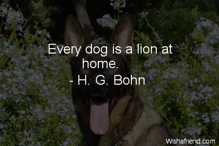 dog-Every dog is a lion