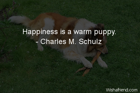 dog-Happiness is a warm puppy.