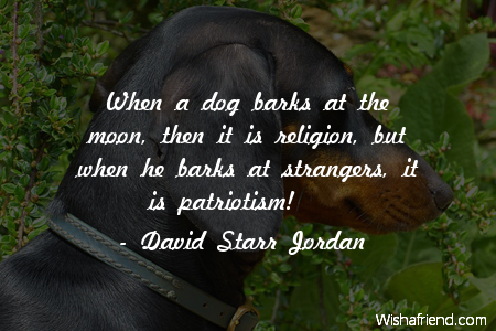 dog-When a dog barks at
