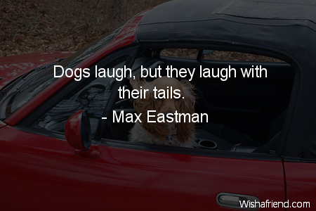 dog-Dogs laugh, but they laugh