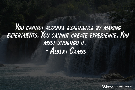 experience-You cannot acquire experience by