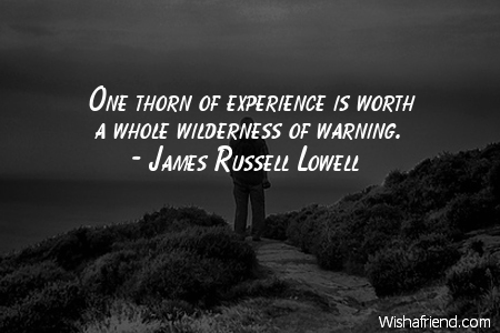 experience-One thorn of experience is