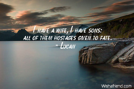 fate-I have a wife, I