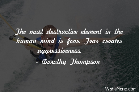 fear-The most destructive element in