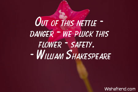 William Shakespeare Quote: Out Of This Nettle - Danger - We Pluck This  Flower - Safety.