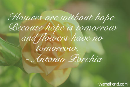 flower-Flowers are without hope. Because