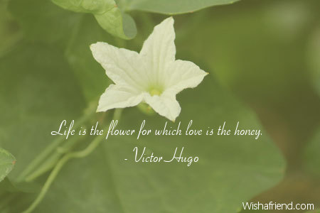 flower-Life is the flower for