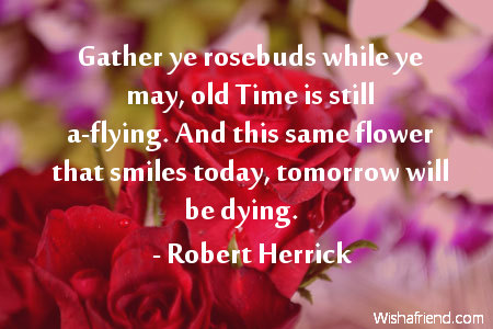 flower-Gather ye rosebuds while ye