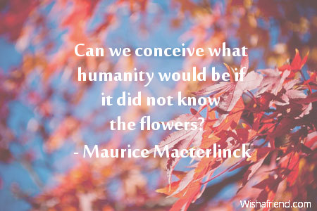 flower-Can we conceive what humanity