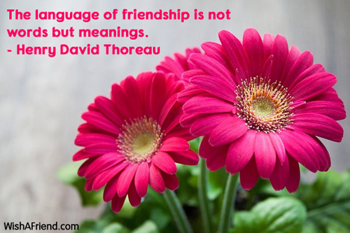 friendship-The language of friendship is