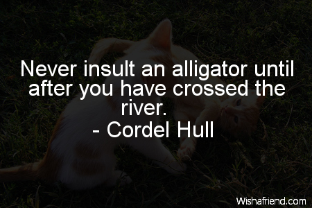 funny-Never insult an alligator until