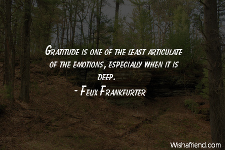 gratitude-Gratitude is one of the