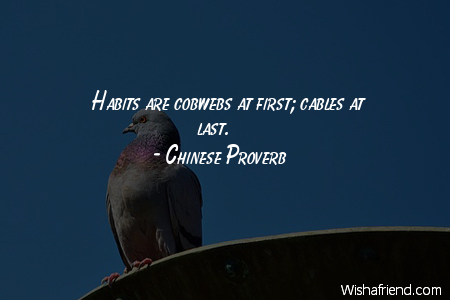 habits-Habits are cobwebs at first;