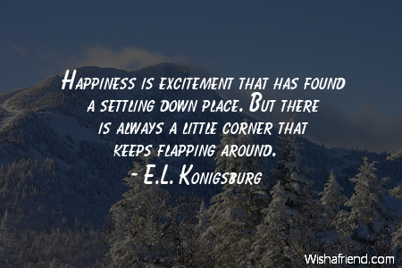 happy-Happiness is excitement that has