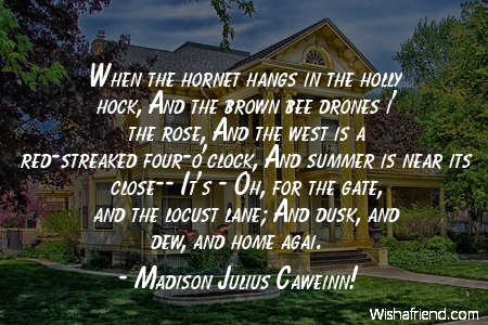 home-When the hornet hangs in