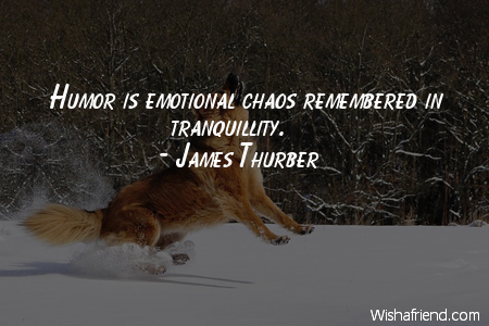 humor-Humor is emotional chaos remembered