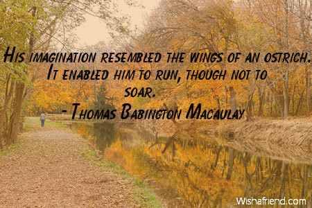 imagination-His imagination resembled the wings