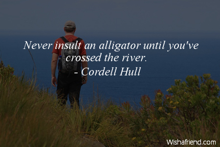 insults-Never insult an alligator until