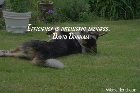 laziness-Efficiency is intelligent laziness.