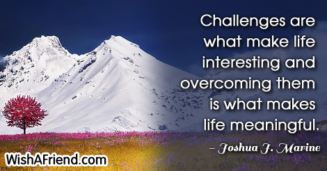 life-Challenges are what make life