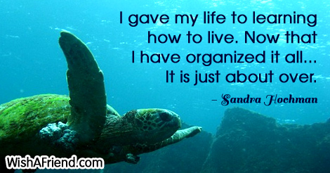 life-I gave my life to