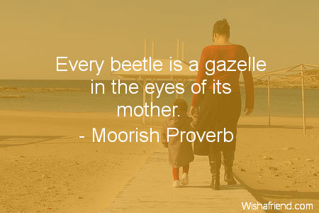 mother-Every beetle is a gazelle