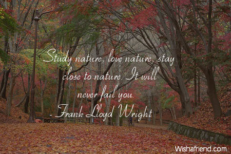 nature-Study nature, love nature, stay