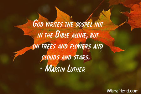 nature-God writes the gospel not