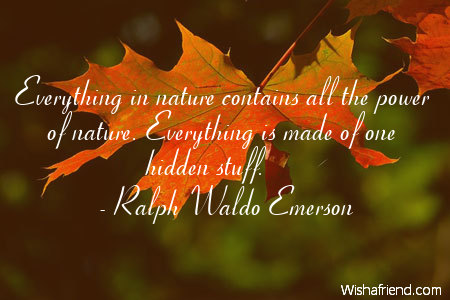 nature-Everything in nature contains all