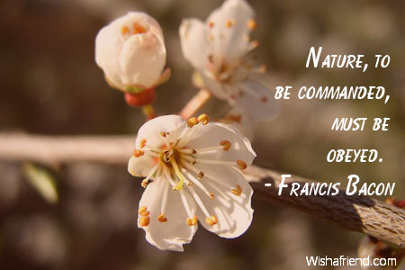 nature-Nature, to be commanded, must