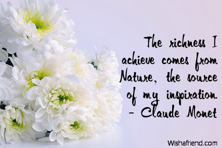 nature-The richness I achieve comes
