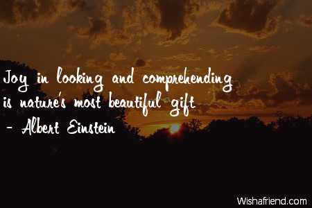 Albert Quote: Joy in and comprehending is nature's beautiful gift.