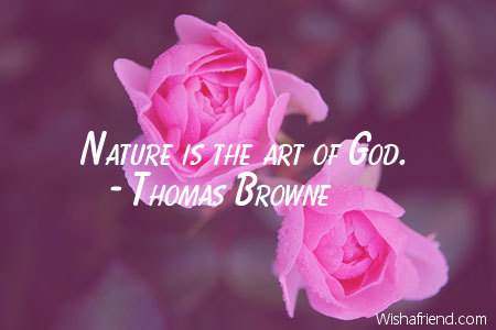 nature-Nature is the art of