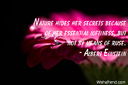 nature-Nature hides her secrets because