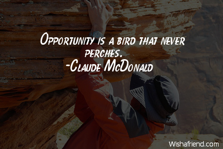 opportunity-Opportunity is a bird that