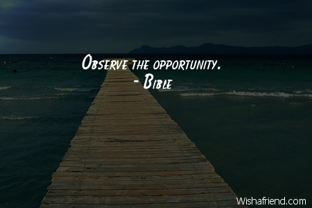 opportunity-Observe the opportunity.