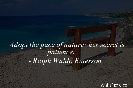 patience-Adopt the pace of nature: