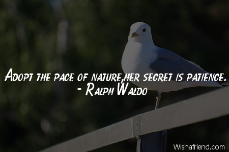 patience-Adopt the pace of nature,her