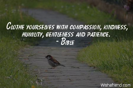 patience-Clothe yourselves with compassion, kindness,