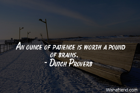 patience-An ounce of patience is