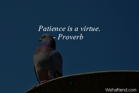 8174-patience