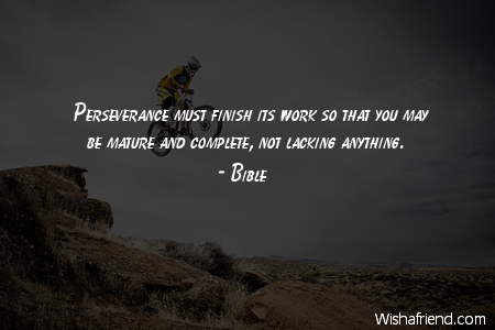 perseverance-Perseverance must finish its work