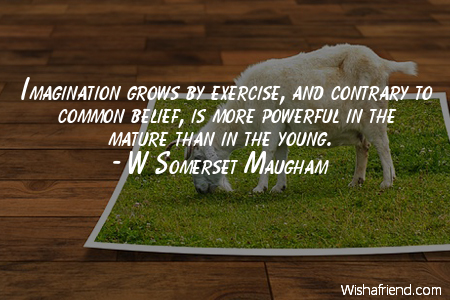 perspective-Imagination grows by exercise, and