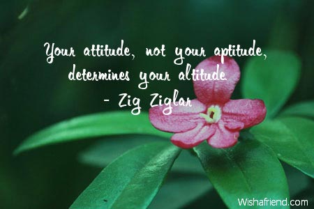 positive-Your attitude, not your aptitude,