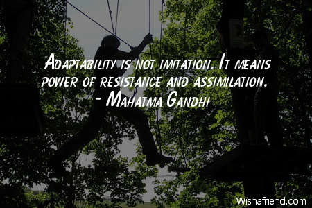 power-Adaptability is not imitation. It