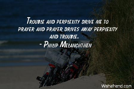 prayer-Trouble and perplexity drive me